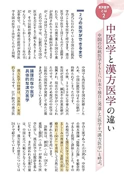 東洋医学ポケット用語集 知りたいこと、いっぱい! 東洋医学ポケット用語集―知りたいこと、いっぱい! | 野々井 康治